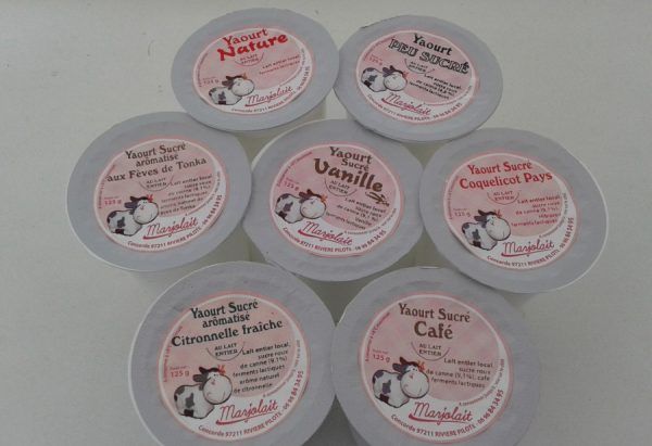 Yaourts au lait de Vache